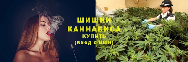 ПСИЛОЦИБИНОВЫЕ ГРИБЫ Алзамай