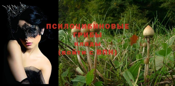 ПСИЛОЦИБИНОВЫЕ ГРИБЫ Алзамай