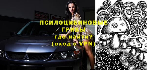 ПСИЛОЦИБИНОВЫЕ ГРИБЫ Алзамай