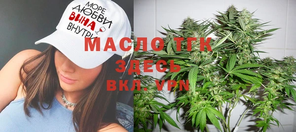 соль ск Алексин