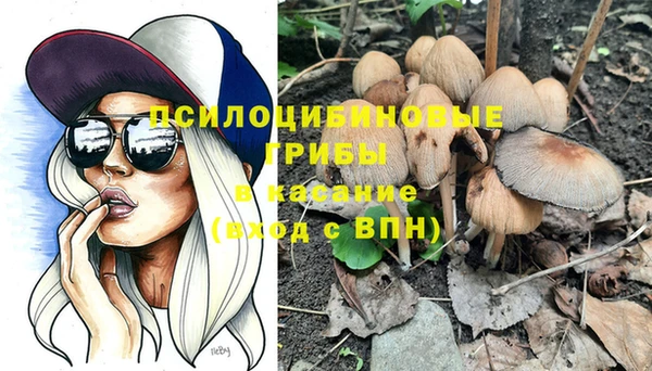 соль ск Алексин