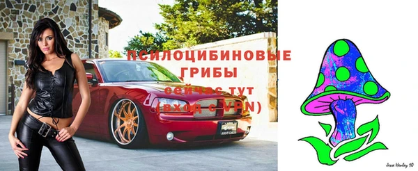ПСИЛОЦИБИНОВЫЕ ГРИБЫ Алзамай
