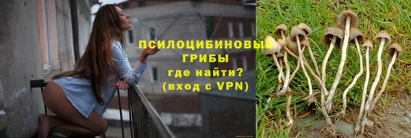 соль ск Алексин