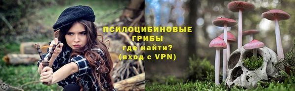 соль ск Алексин