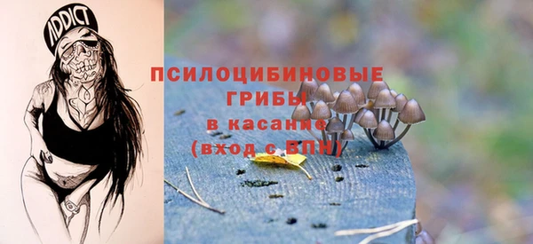 ПСИЛОЦИБИНОВЫЕ ГРИБЫ Алзамай